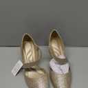 mysoft Women's Pointed Toe Low Stiletto Heel Dress Pumps Shoes - Gold-Glitter, Size 8W