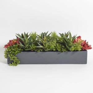 CG Hunter Oblong Faux Succulent Arrangement, Premium Artificial Indoor Plant Enhances Interior Design, Display on any Surface in Your Home Adding an Inviting Touch of Nature, Grey Planter Pot Included