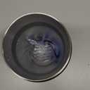 BlenderBottle Strada Shaker Cup Insulated Stainless Steel Water Bottle with Wire Whisk, 24Ounce, Black