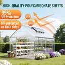 EVERECO 10 Pcs Greenhouse Panel, 4'FT x 2'FT x 0.16" in Polycarbonate Sheet