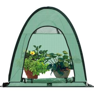 Upgraded Pop-Up Plant Greenhouse, Durable PE Cover, Portable Fast Set-up with Roll-Up Doors, Green (36"*36"*40")