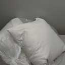 MIULEE 18x18 Pillow Inserts,Down Alternative Pack of 2 Decorative Throw Pillows for Sofa Couch Bed, Ultra Soft Fluffy Bed Sleeping Form