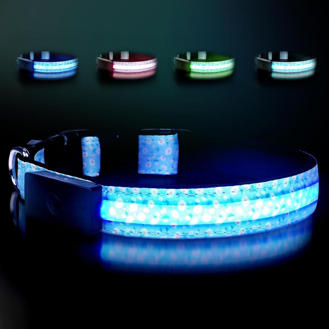 LED Dog Collar - Brightest Light Up Dog Collars - 1,600 Feet of High Visibility - Magnetic Charging - Dog Lights for Night Walking, Daisy Medium