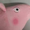 Peppa Pig Kids Bedding Super Soft Plush Cuddle Pillow Buddy, One Size, By Franco (Standard)