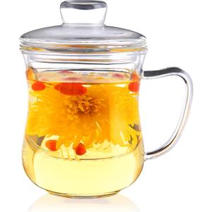 CNGLASS Glass Tea Cup with Removable Infuser and Lid,10oz Thickened Glass Infuser Mug,Borosilicate Glass Mug for Loose Leaf Tea,Teabags (Clear)