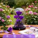 DENIMOMO Mothers Day Roses Gifts for Mom,Forever Purple Preserved Rose in Glass Dome,Mothers Day Real Flowers Roses Gifts for Wife Women Mom Grandma/Purple
