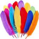 MAOFENG 150pcs 5-7 Inches Natural Goose Feathers Bulk DIY Crafts Feathers for Wedding Party Halloween Clothing Accessories,Mix Color