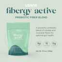USANA Fibergy Active with Prebiotic Fiber for Gut Health Non-GMO Gluten Free Low Glycemic 336 Grams - 28 Servings