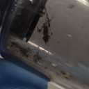 Car Handheld Vacuum Cordless: Car Vacuum Cleaner with 16000Pa Ultra-Strong Suction, Brushless Motor & HEPA Filter - Lightweight Design for Drivers and Office Workers - Charcoal