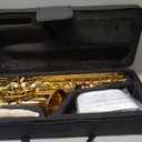 Alto Saxophone Student Beginner Eb Saxophone Kit