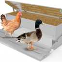 Stainless Steel Automatic Chicken Feeder, Treadle Chicken Feeder with Weatherproof Lid, No Waste Chicken Feeder, 15 lbs Poultry Feeder, for Chickens, Ducks, Fowl