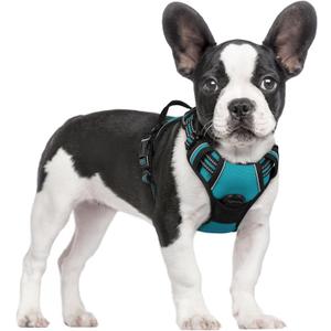 rabbitgoo Dog Harness No Pull with 2 Leash Clips, Adjustable Soft Padded, Reflective Oxford No Choke Pet Vest with Easy Control Handle for Small Dogs, Teal, Small