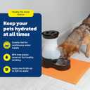 PetSafe Healthy Pet Water Station - Large, 320 oz Capacity - Gravity Pet Water Fountain, Automatic Cat Water Fountain or Dog Water Fountain - Water Dispenser - Removable Stainless Steel Bowl Included