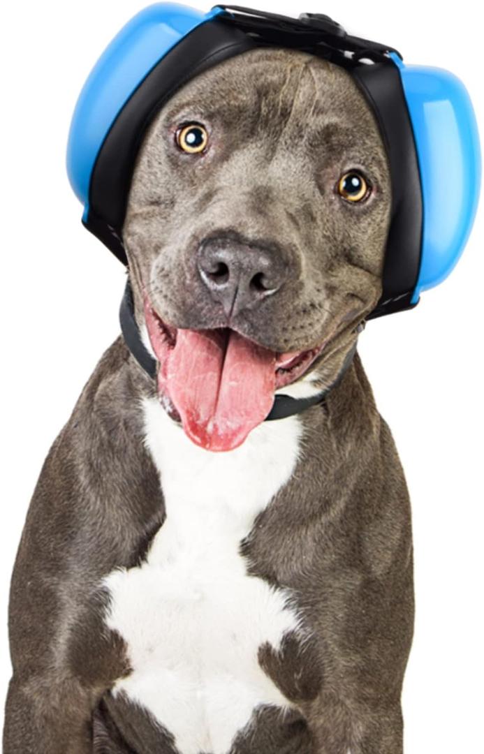 Dog Ear Muffs for Noise (M, Blue)