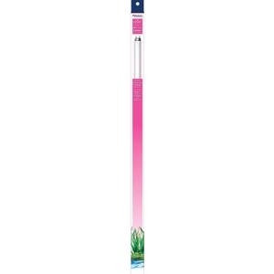 Aqueon T8 Fluorescent Lamp Replacements Colormax 24 Inches (17 Watt 24")