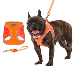 Rttochfy Small Dog Harness, Soft and Reflective Puppy Harness, Dog Harness and Leash Set for Small Size Dogs Training, Walking (Orange M) (M (Chest:15.5"-17.5"))