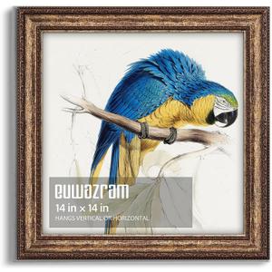 Ornate Antique Gold 14x14 Picture Frame for Photos and Artwork, 14 x 14 in