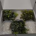 Der Rose 3 Pack Mini Potted Fake Plants Artificial Plastic Eucalyptus Plants Topiaries for Home Office Desk Farmhouse Shelf Room Bathroom Decor(Sage Green)