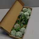 Floroom 12pcs Sage Green Faux Silk Mums Artificial Flowers Bulk Fake Chrysanthemums with Stems for DIY Wedding Table Centerpieces Floral Arrangements Vase Fillers Home Decorations