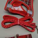 GAMUDA Small Dog Harness Collar and Leash Set, Step in No Chock No Pull Soft Mesh Adjustable Dog Vest Harnesses Plaid Reflective for Dogs Puppy Cats Kitten Rabbit (Red, S)