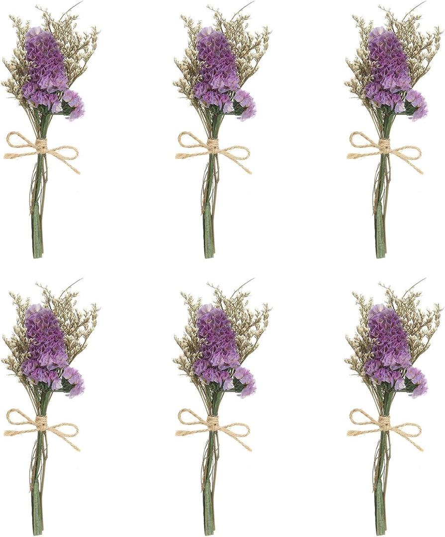 PATIKIL Mini Dried Flower Bouquet, 6 Pcs Forget-me-not Natural Wildflower with Stem Decor Baby's Breath Boho Floral Plant Flower for Crafts DIY Photo Props Gift Wedding Decor, Rose Red