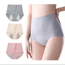 3 Pack Women's Incontinence Underwear Washable, Double Elastic High Waist Adult Incontinence Protective Briefs, Reusable for Light Bladder Leakage(L-Waist: 24.4''~38.6'')
