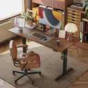 Agilestic Electric Standing Desk, 48 x 24 Inches Height Adjustable Desk, Sit Stand up for Work Office Home, Ergonomic Rising Computer Table with Memory Preset, Dark Walnut