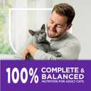 Purina Cat Chow Gentle Sensitive Stomach and Skin Dry Cat Food with Turkey - (Pack of 4) 3.15 lb. Bags