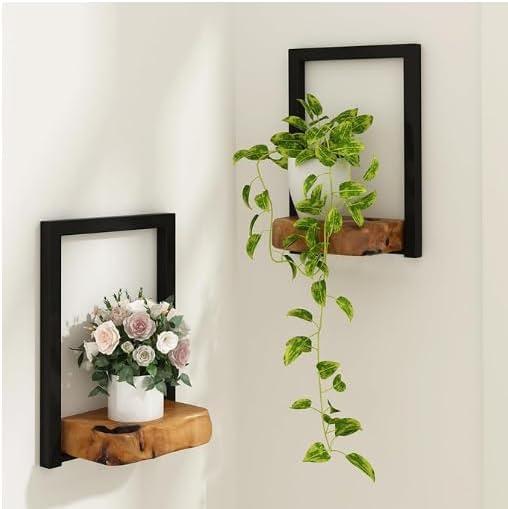 Natural Edge Cedar Wood 2 Pack Wall Plant Holders, Window Planters Shelves, Wood Floating Shelf, Indoor Plants Stands, Wall Decor Planter Hanging Shelf, 12x9x5 Inches