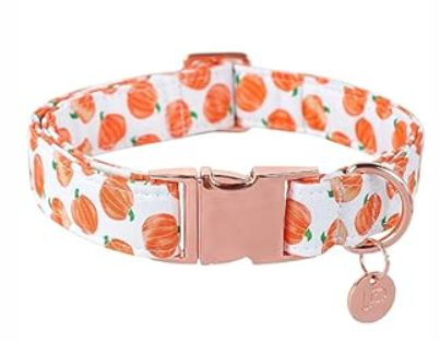 UP URARA PUP Halloween Dog Collar with Metal Buckle Gift Fall Dog Collar for Small Medium Large Girls or Boys Dogs Cute Pumpkin Cotton Pet Collars 