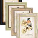 AAQ 4 Pack 4x6 Picture Frame - Picture Frames with HD Plastic Cover,Photo Frame for Wall & Tabletop Picture Frames (Multicolour)