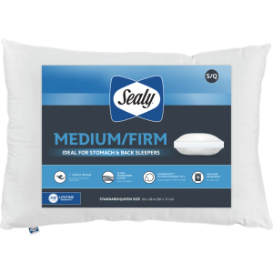  Sealy Medium Firm Standard Queen White Pillow