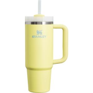 STANLEY Quencher H2.0 Tumbler with Handle and Straw 30 oz | Flowstate 3-Position Lid | Cup Holder Compatible for Travel | Insulated Stainless Steel Cup | BPA-Free | Pomelo