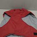 Queenmore Large Coat, Winter Jacket, Waterproof Puffy Snowsuit for Dogs - Adjustable Reflective Fleece Lining Warm Padding Parka for Cold Weather, Red L