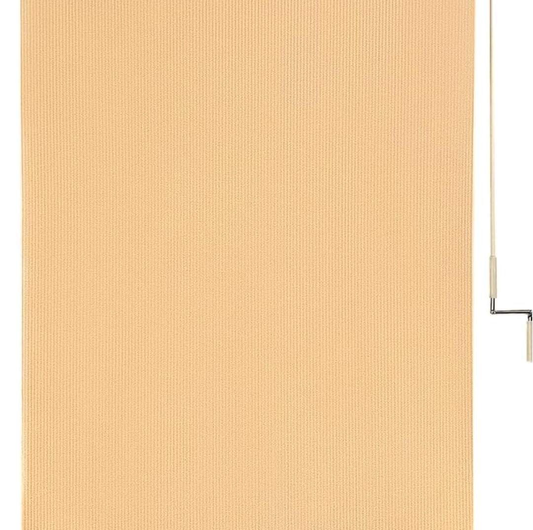 CICADA SPEECH Outdoor Roller Shade Roll Up Shade Cloth Patio Blinds for Deck Porch Balcony Backyard (8' W X 8' L, Wheat)
