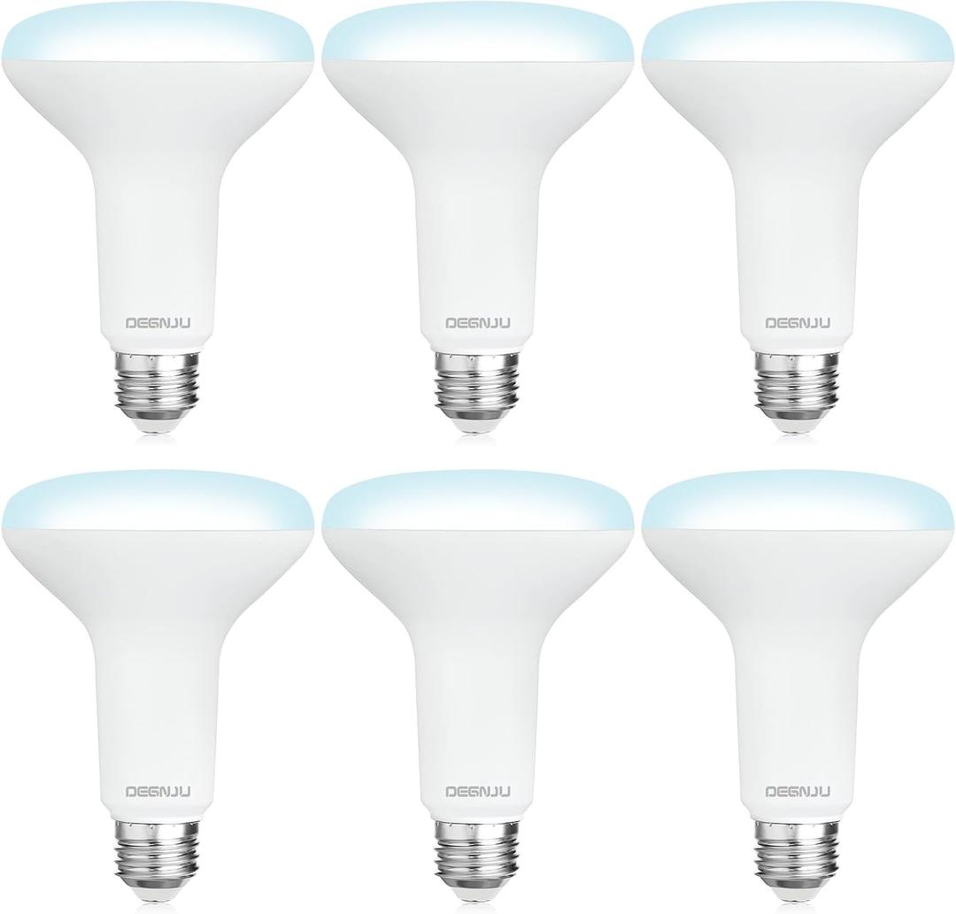 DEGNJU 6 Pack BR30 LED Recessed Light Bulb, Dimmable Indoor Flood Light Bulbs CRI80 7W Equivalent 65W 5000K Daylight 650 Lumens, 15000 Lifetime Hours E26 Base LED Can Light Bulb, Flicker-Free