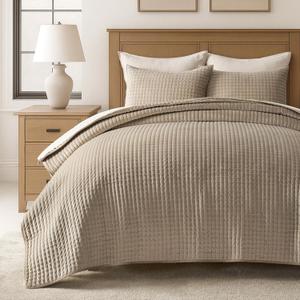 EVERGRACE Luxury Pearl Velvet Quilt Set Queen Size, 3 Pieces Lightweight Channel Tack-Stitch Velvet Comforter Set with 2 Shams, Quilted Bedspread Coverlet for All Season, Natural, 90"x92"