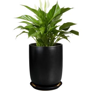 Ceramic Planter 8 Inch - Plant Pot for Indoor Outdoor Plants Cylinder Flower Pot with Drainage Hole and Saucer Black