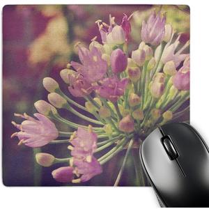 3dRose LLC 8 x 8 x 0.25 Inches Pretty Little Flower by Angle and Spot Mouse Pad (mp_11244_1)