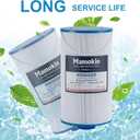 303279 Hot Tub Filter Replaces Filbur FC-2402, 5CH-37, PFF42TC-P4, 78460 and Lifesmart, AquaTerra, Fantasy, Freeflow, Simplicity, Bermuda, Aspire, Azure, Spa Filter-2 Pack