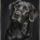 HommomH Black Lab Blanket, Gorgeous Labrador Dog Print, Soft Fluffy Fleece Throw 50"x60"