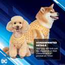 4 x DC Comics Superhero Aquaman Halloween Dog Costume - Officially Licensed Halloween Pet Costumes for Dogs, Size Large (Multicolor)