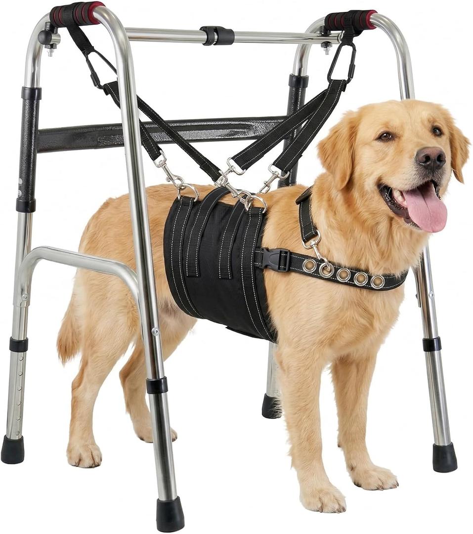 CWV Adjustable Dog Lift Harness for Large Dogs with an Adjustable Standing aid, Portable Dog Dling for Large Dogs Hind Leg Support, Soft Dog Harness for Senior, Disabled, After Surgery Dogs, Large
