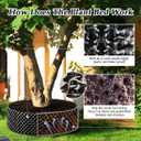 RooTrimmer Air Pruning Containers 60 Gallon 2P, Raised Garden Bed Large Tree Pos New Plastic Nursery Pot Fruit Vegetable Garden Grow beds (4 ft Diameter), Black