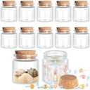 Patelai 24 Pack Small Glass Jars with Cork Stoppers Mini Potion Bottles Clear Empty Glass Bottles for DIY Art Crafts Message Decoration for Wedding Birthday Gifts Party Favors (50 ml/1.7 oz)