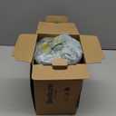 Bedsure GentleSoft Christmas Throw Blanket for Couch - Cozy Soft Green Blankets for Women, Cute Small Fleece Christmas Throws Gifts for Teens Girls Room Home Decor, Sage Green, 50x60 Inches