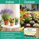 ZeeDix 50 Pcs 30mm Organic Coco Coir Pellets for Seed Starter, Compressed Coconut Coir Potting Soil for Planting, Garden Soil for Indoor Outdoor Plants Bonsai Herbs Flowers Vegetables