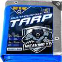 Tarps Waterproof 30'x40', 8 Mil Thick-Silver/Blue
