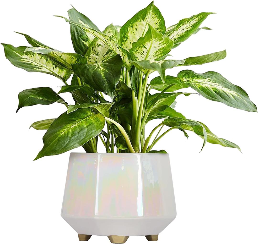8 Inch Ceramic Planter for Indoor Plants - Plant Pots with Drainage Holes - Modern Minimalist Flower Pot for Succulents and Herbs (White)