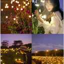 Solar Garden Lights Outdoor Waterproof Solar Firefly Lights Swaying Lights Garden Decorative Lights for Outside Garden Decor Yard Patio Decorations Pathway Lawn Decorations (Cold White 20 LEDs)